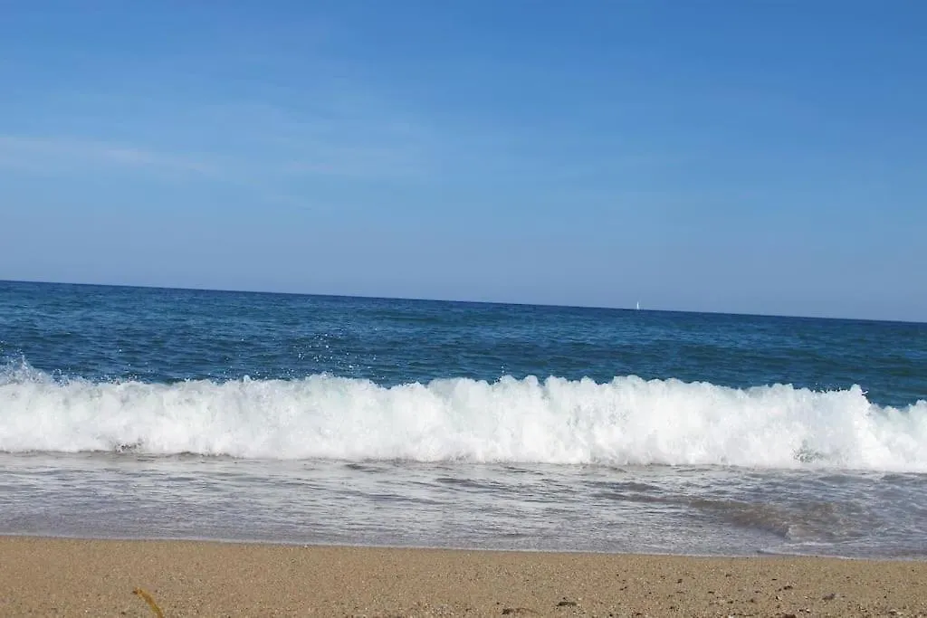 Barcelona Beach Apartment 산트 아드리아 데 베소스